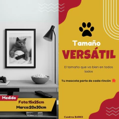 Barko Versátil – Ni chico ni gigante, justo - comprar online
