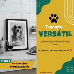 Barko Versátil – Siempre queda bien, como tu receta favorita - comprar online