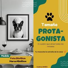 Barko Protagonista – Tu mascota, la estrella del menú - comprar online