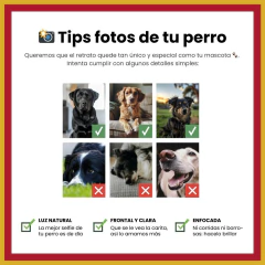 Imagen de Barko Íntimo – Detalle que enamora