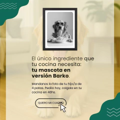 Barko Protagonista – Tu mascota, la estrella del menú