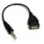 Cabo Adaptador P2 P3 X Usb Fêmea Pendrive Celular Veicular MP3 MP4 Auxiliar - Kr_acessorios