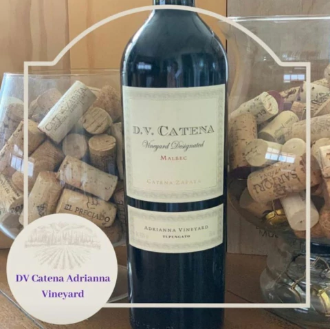 DV Catena - Malbec 2021 Adriana Vineyard Designated - comprar online
