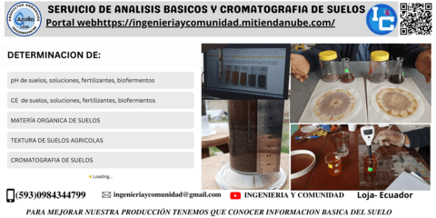 Carrusel 1