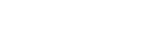 VECI TOYS