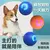 Pelota de Juguete Inteligente para Perros y Gatos - comprar online