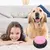 Botón Interactivo Juguete para Perros y Gatos - Tech Refresh Store