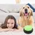Botón Interactivo Juguete para Perros y Gatos - tienda online