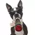 Peluches para Perro con Forma de Cigarros - comprar online