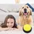 Botón Interactivo Juguete para Perros y Gatos - comprar online