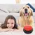 Botón Interactivo Juguete para Perros y Gatos
