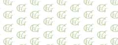 Banner da categoria Camisas