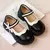 Passos Delicados – Sapatos Escolares Princesa - loja online