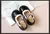 Passos Delicados – Sapatos Escolares Princesa