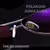 Lentes Estilo Aviador Polarizados - PaoPop.club