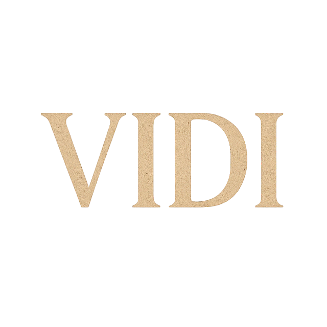 Vidi