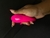 VIBRADOR DE CASAL VIA APLICATIVO | PINK na internet