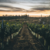 Imagem do Kit 4 Vinho Tinto Santa Carolina Estelar 57 Red Blend 750ml