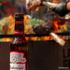 Pack 6 Cervejas Budweiser Long Neck 330ml - XVINO