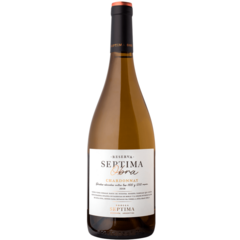 Vinho Argentino Branco Septima Obra Chardonnay 750ml