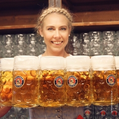 Kit Cerveja Paulaner Dunkel 500ml + Weissbier 500ml + Copo