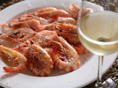 Kit 4 Vinho Branco Espanhol Gonzalez Byass Tio Pepe 750ml - loja online
