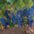 Vinho Tinto Italiano Albinoni Sicilia DOC Nero D’Avola 750ml - comprar online