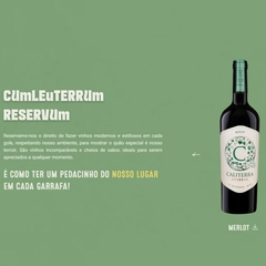 Vinho Chileno Caliterra Reserva Merlot 750 ml - comprar online