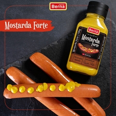 Mostarda Forte Berna Feita Com Grãos Importados Bisnaga 230g na internet