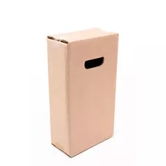 Kit 20 Caixas de Papelão Transporte de Bebida 2 Garrafas Klabin