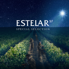 Kit 6 Vinho Rosé Santa Carolina Estelar 57 Sauvignon 750ml - XVINO