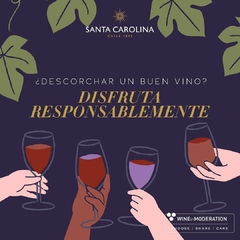 Vinho Santa Carolina Reservado Cabernet Sauvignon 375ml - comprar online