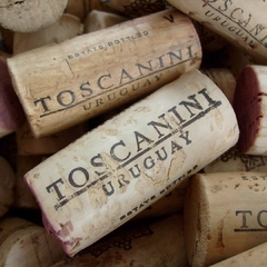 Kit 6 Vinho Reserva Cabernet Sauvignon MontesToscanini 750ml - loja online
