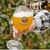 Imagem do Kit 4 Cerveja Alemã Weihenstephaner Weizenbock Vitus 500ml