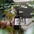 Vinho Tinto Francês Fat Bastard Merlot IGP Pays d'Oc 750ml na internet
