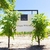 Vinho Branco Santa Carolina Estelar 57 Only White 50ml - loja online