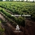 Vinho Tinto Argentino Alfredo Roca Malbec 375ml na internet