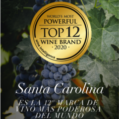 Vinho Santa Carolina Reservado Cabernet Sauvignon 375ml - XVINO