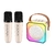 Dual Mic Home Open-Air Singing Speaker - loja online