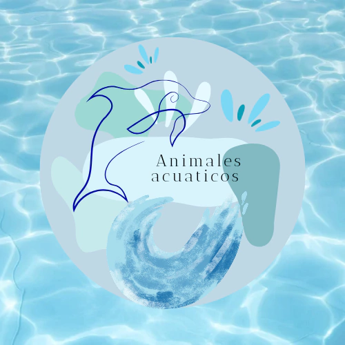 Animales acuáticos