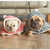 Manta Aconchegante de Fleece para Pets – Cobertor Macio para Cães e Gatos | Ideal para Camas Pet e Momentos de Conforto - Astro Pet