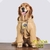 Casaco Grande para Pets – Roupa Quente e Confortável para Cães de Médio e Grande Porte | Proteção Contra o Frio com Estilo - comprar online