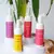 Kit c/ 4 Mousse de Limpeza Sabonete Facial Lady Beauty - comprar online