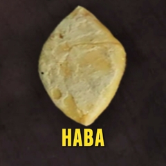 Tlacoyito de Haba - comprar en línea