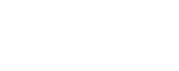 Wolken Company