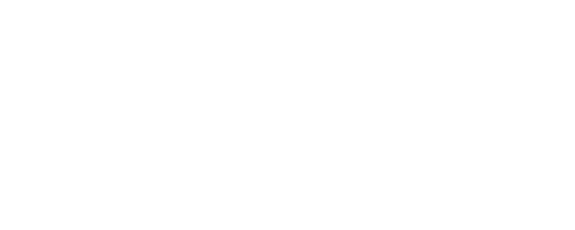 Caster