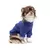 Cacharrel Malha Azul Bichinho Chic PP