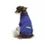 Cacharrel Malha Azul Bichinho Chic PP - Pets Criativo