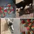 10 peças de brinquedo para animais de estimação - ISATECH1302