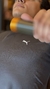 Dry-Fit Puma